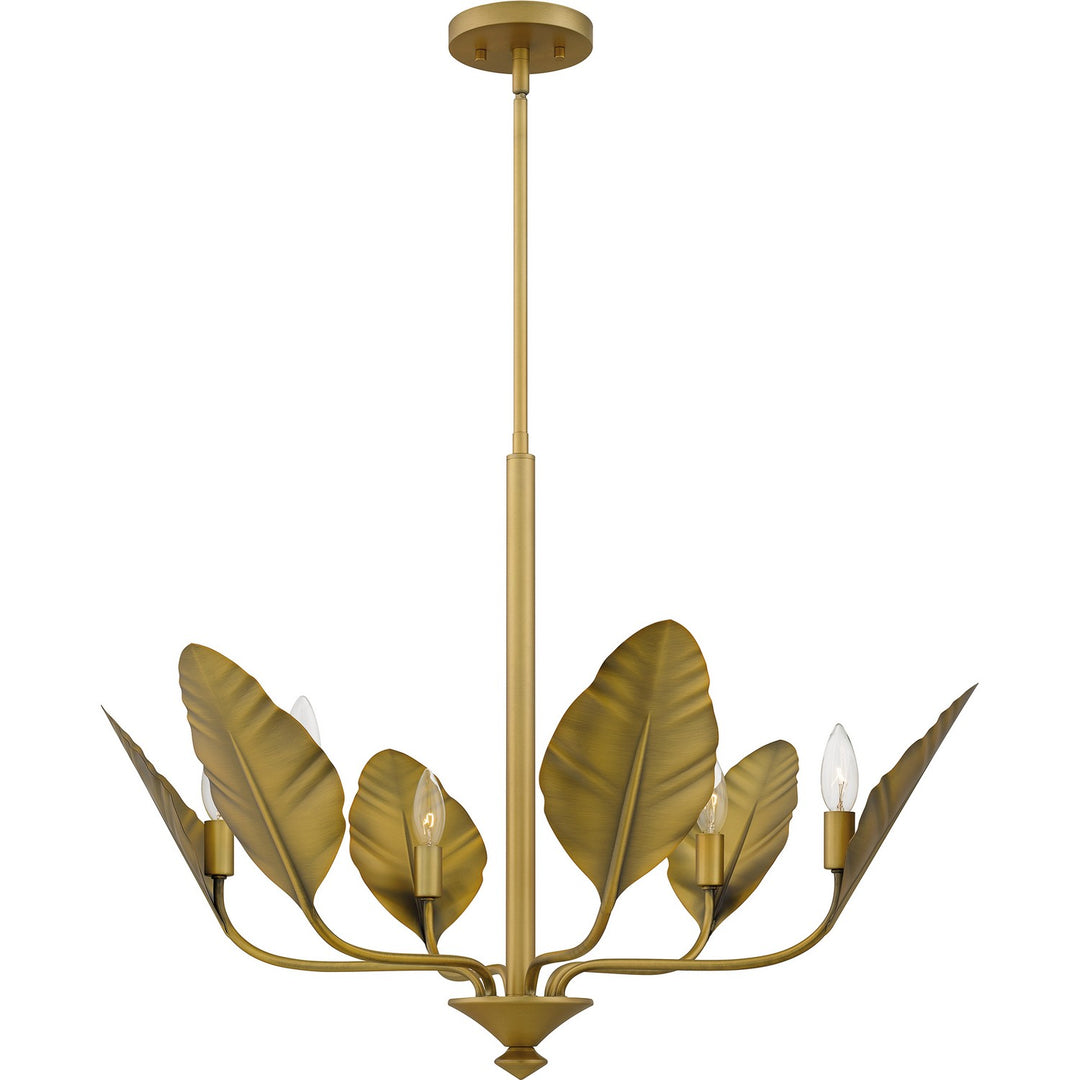 Quoizel - BAY5028AB - Six Light Chandelier - Bayley - Aged Brass